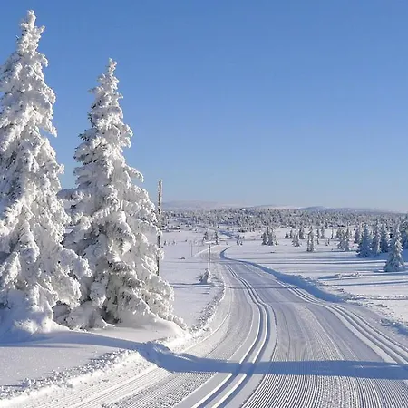 At Birkebeiner Trail In Out, 8 Beds, 2 Bathrooms & Wifi * Sjusjoen