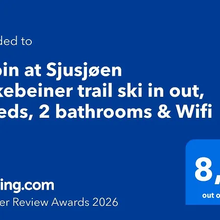 At Birkebeiner Trail In Out, 8 Beds, 2 Bathrooms&wifi