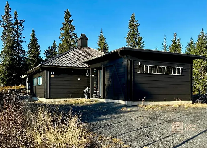 At Birkebeiner Trail In Out, 8 Beds, 2 Bathrooms & Wifi Дом отдыха