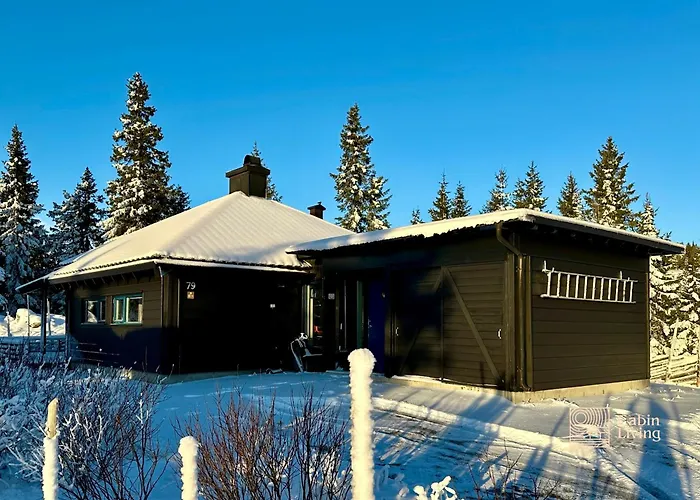 At Birkebeiner Trail In Out, 8 Beds, 2 Bathrooms & Wifi Sjusjoen