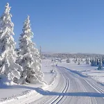 At Birkebeiner Trail In Out, 8 Beds, 2 Bathrooms & Wifi * Sjusjoen