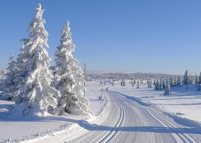 At Birkebeiner Trail In Out, 8 Beds, 2 Bathrooms & Wifi * Sjusjoen
